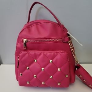 Beautiful Pink Back Pack